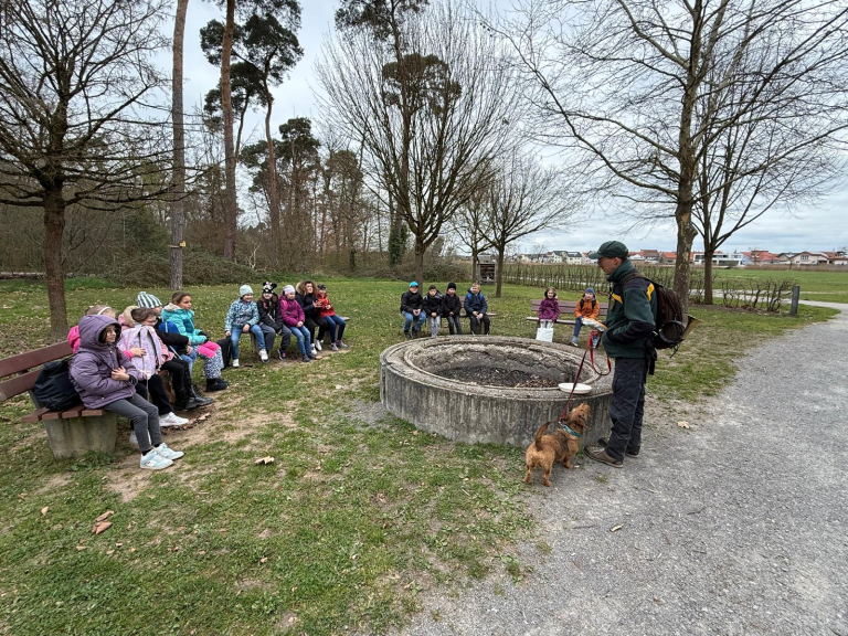 Wald im Frühling erleben