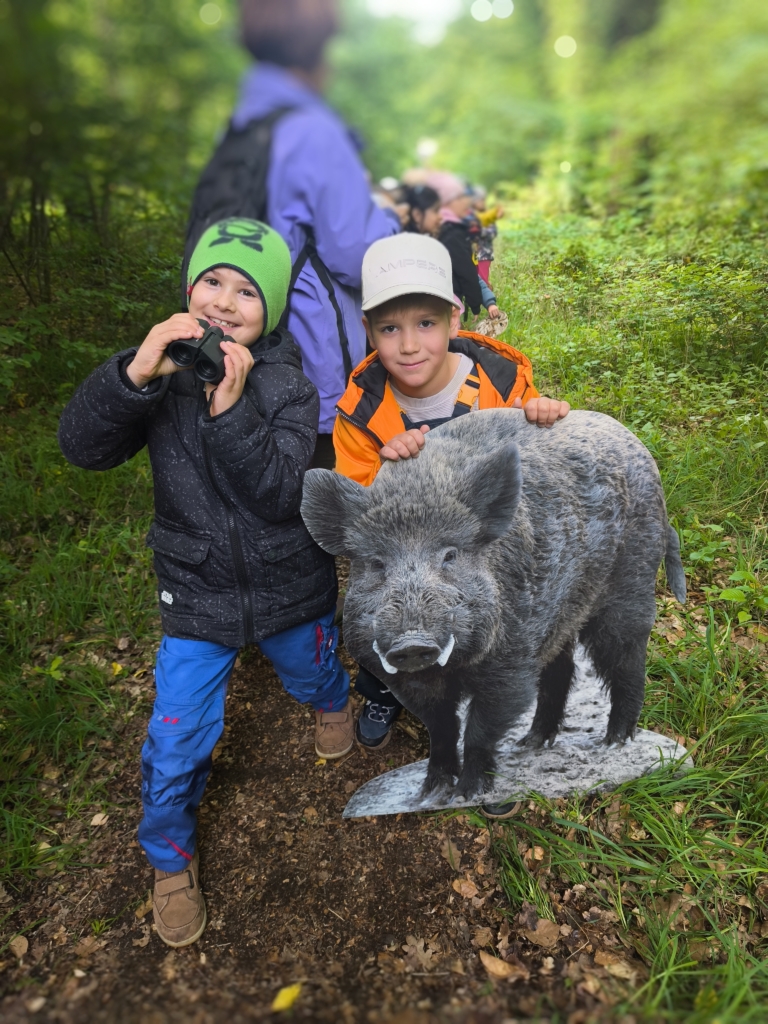Ein tierisch guter Waldtag